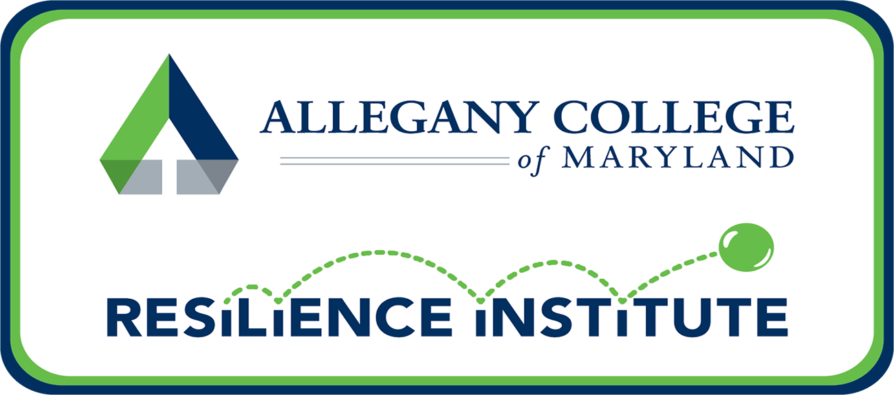 resilience institute