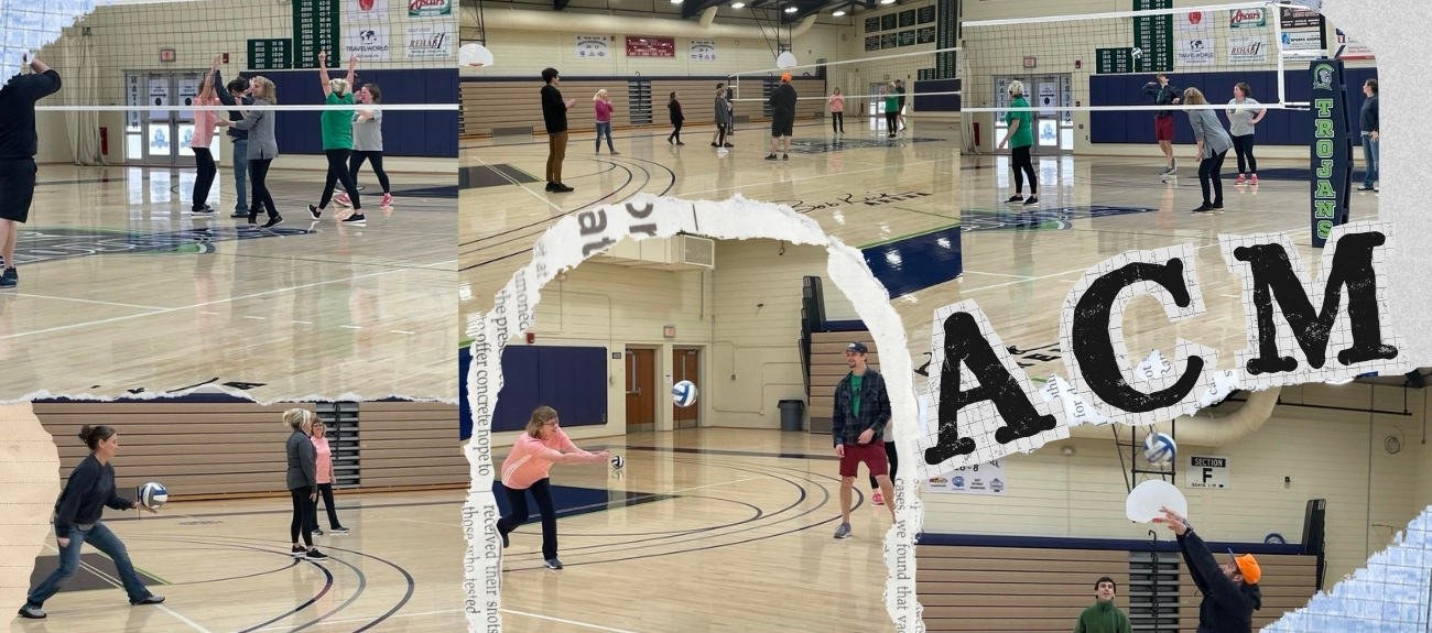 Employees playing Volleyball